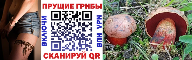даркнет сайт  МЕГА   Галлюциногенные грибы GOLDEN TEACHER  Усть-Катав 